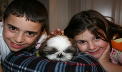 bandit_family